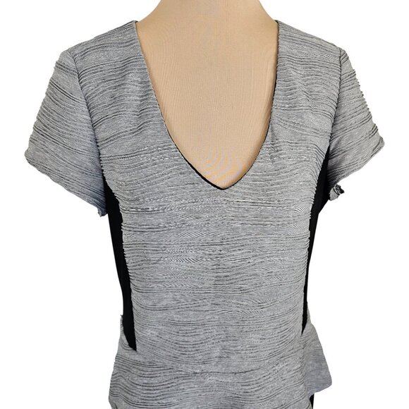 Joseph Ribkoff Grey Ribbed Detail and Black Paneling Dress Sz 14 - Picture 2 of 7